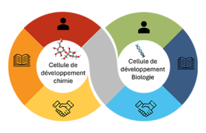 chimie-biologie