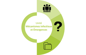 equin-mecanisme-infectieux