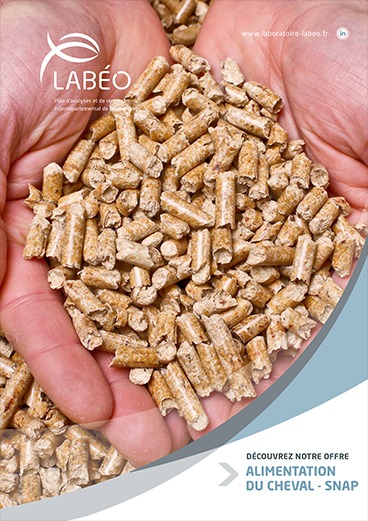 alimentation du cheval