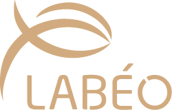 logo Labeo thème équin